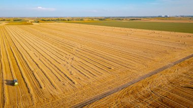 Traktörün yukarısında mercimeği fırına veren makine, kamışı yuvarlıyor ve tarımsal alanın üzerine yuvarlanmış bir balya püskürtüyor..