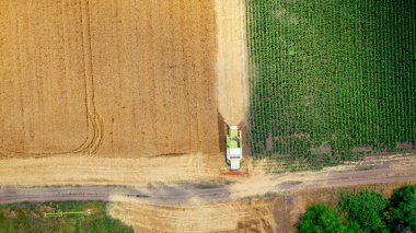 Tarımsal biçerdöver üzerinde, ülkenin yanındaki tarım arazilerinde olgun buğday kesip biçerken birleşiyor, tozlu, toprak yol. Yaz mevsiminde hasat zamanı. 