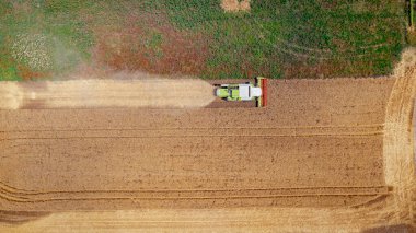 Zirai hasat makinesinin üstünde, tarım arazilerinde olgun buğday kesip biçerken birleşiyor. Yaz mevsiminde hasat zamanı. 