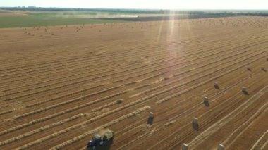 Manzaranın üstünde, kule traktörün arka ışığıyla havada hareket ediyor, kamışı yuvarlayan ve tarımsal alanın üzerine doldurulmuş yuvarlak bir balya tüküren makine gibi..