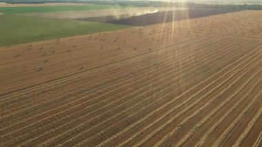 Tarımsal tarlalar, kırsal yollar, hasattan sonra tarımsal alanlarda saman balyaları arasında giden kırsal yolun üstünde, tarım yığını için hazırlanmış, çeşitli ekili araziler. 