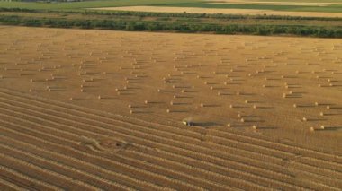 Dolly, traktörün etrafındaki yörüngeyi tarımsal alanın üzerine doldurulmuş yuvarlak bir balya püskürten ve kamışı yuvarlayan bir makine olarak hareket ettiriyor..