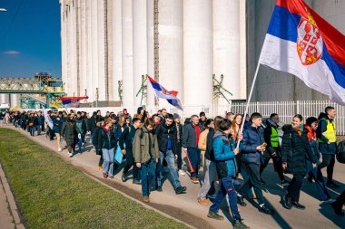 Zrenjanin, Voyvodina, Sırbistan - 20 Şubat 2025: Gençler toplandı, ellerinde pankartlar ve bayraklar, protesto yürüyüşlerinde öğrenciler, grup halinde yürüdüler, Zrenjanin 'den Vrsac' a yaya olarak gittiler