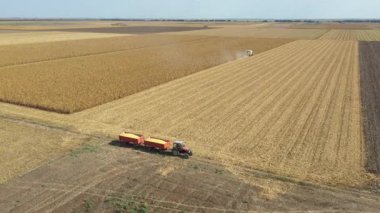 Dolly 'nin ilerleyişi, tarım hasat makinesinin üzerinden çiftlik ve mısır tarlalarında olgun mısırları kesip biçmek olarak geçmek. İki römorklu traktör transferi bekliyor..