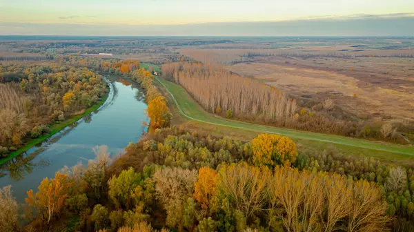 Manzaranın üstünde, bataklık arazisi çevresindeki ağaçlar, orman çiftlikleri, tarım çiftlikleri, tarım arazileri, ormanlıklar, sonbaharda doğa, çeşitli ekilmiş araziler..