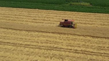 Tarım hasatçısının yörüngesinde dolanıp, tarlalarda buğday kesip biçerken birleşiyor..