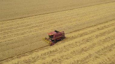 Tarım hasat aracının üzerinden geçen bu kulede, tarım arazilerindeki olgun buğdayları kesip biçerken birleşin..