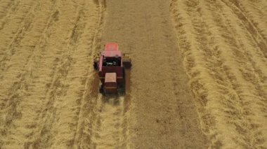 En tepede, tarımsal hasat makinesinin üzerinden uçan kule, tarım arazilerindeki olgun buğdayları kesip biçerken birleşiyor. Yaz mevsiminde hasat zamanı. 
