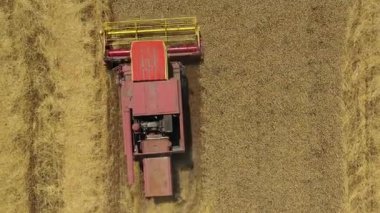 En tepede, tarımsal hasat makinesinin üzerinden uçan kule, tarım arazilerindeki olgun buğdayları kesip biçerken birleşiyor. Yaz mevsiminde hasat zamanı. 