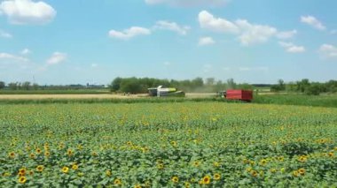 Tarım hasat aracının üzerinden geçen bu kulede, tarım arazilerindeki olgun buğdayları kesip biçerken birleşin..