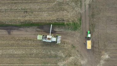 En tepede, doli hareketi tarımsal biçerdöveri takip ediyor kırsal yoldaki tarımsal tarlalar arasında gidiyor, tozlu zemin yolundan kargo boşaltmak için pozisyon alıyor, karavanda teslim oluyor..