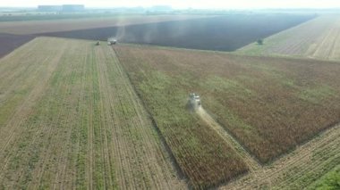 Dolly, iki hasat aracının etrafındaki yörüngede gelişmemiş mısırları hasat ediyor. Düşük verimlilikte donuk bitkilerle mısır tarlası kuraklığın bir sonucu. Karavanlı traktör transferi bekliyor.