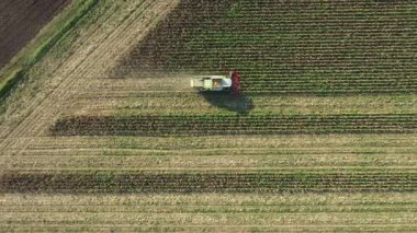En tepede, tarımsal hasat aracının üzerinden, tarım arazilerinde olgunlaşmamış mısırların kesilip biçilmesi ve hasat edilmesi, düşük verimlilikte donuk bitkilere sahip mısır tarlaları, kuraklığın sonucudur..