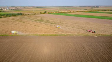 Tarımsal hasatçıların üstünde tarım tarlaları ve mısır tarlalarında olgun mısırları kesip biçmek var. İki römorklu traktör nakil için hazır. Hasat mevsiminde ekilmiş araziler