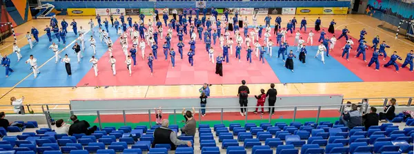 Zrenjanin, Voyvodina, Sırbistan - 27 Nisan 2025: Dövüş sanatları kulübünde gerçek aikido semineri 