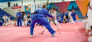 Zrenjanin, Voyvodina, Sırbistan - 27 Nisan 2025: Dövüş sanatları kulübünde gerçek aikido semineri 