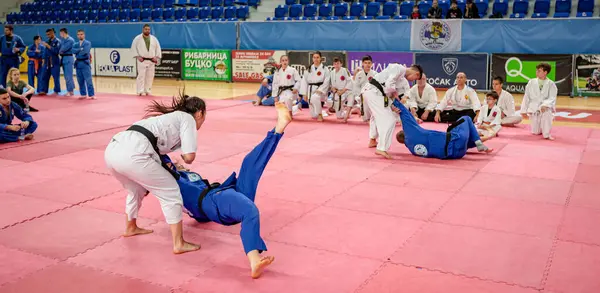 Zrenjanin, Voyvodina, Sırbistan - 27 Nisan 2025: Dövüş sanatları kulübünde gerçek aikido semineri 