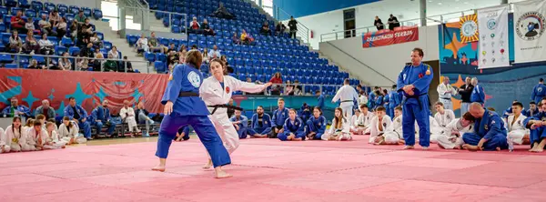 Zrenjanin, Voyvodina, Sırbistan - 27 Nisan 2025: Dövüş sanatları kulübünde gerçek aikido semineri 