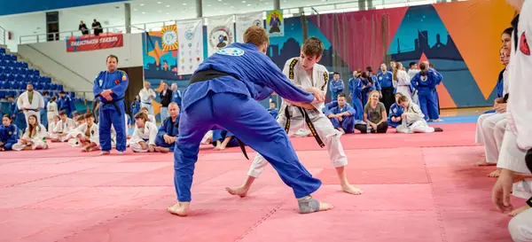 Zrenjanin, Voyvodina, Sırbistan - 27 Nisan 2025: Dövüş sanatları kulübünde gerçek aikido semineri 