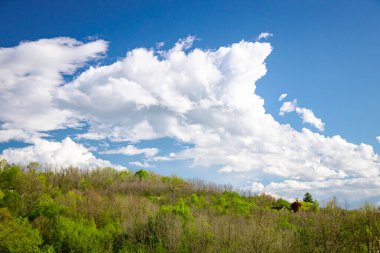 Bulutlar, kümülüs bulutları bahar mevsiminde ormanın renkli ağaç tepelerinin üzerinde, yamaçların üzerinde, taze yeşil bahar bitkileri.
