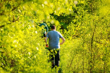 İnsanlar, aile, oğullarıyla birlikte orman patikasında yürüyen adamlar güneşli bir günde yaprak döken ağaçların arasına gidiyorlar. Küçük orman yolu, yol boyunca taze bahar bitkileri.