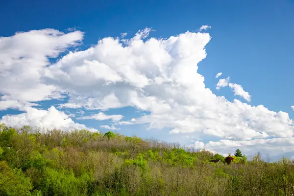 Bulutlar, kümülüs bulutları bahar mevsiminde ormanın renkli ağaç tepelerinin üzerinde, yamaçların üzerinde, taze yeşil bahar bitkileri.