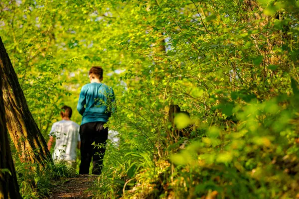 İnsanlar, aile, oğullarıyla birlikte orman patikasında yürüyen adamlar güneşli bir günde yaprak döken ağaçların arasına gidiyorlar. Küçük orman yolu, yol boyunca taze bahar bitkileri.