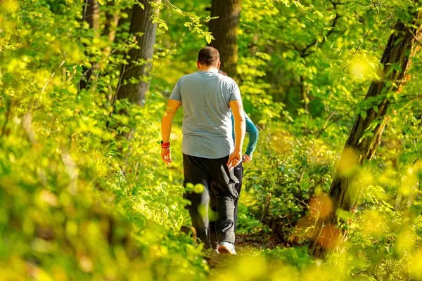 İnsanlar, aile, oğullarıyla birlikte orman patikasında yürüyen adamlar güneşli bir günde yaprak döken ağaçların arasına gidiyorlar. Küçük orman yolu, yol boyunca taze bahar bitkileri.