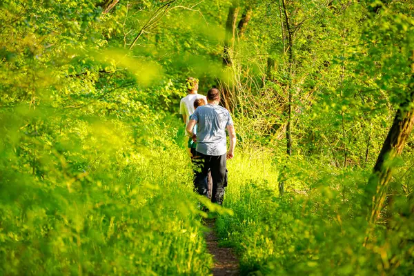 İnsanlar, aile, oğullarıyla birlikte orman patikasında yürüyen adamlar güneşli bir günde yaprak döken ağaçların arasına gidiyorlar. Küçük orman yolu, yol boyunca taze bahar bitkileri.