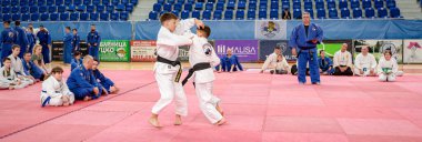 Zrenjanin, Voyvodina, Sırbistan - 27 Nisan 2025: Dövüş sanatları kulübünde gerçek aikido semineri 