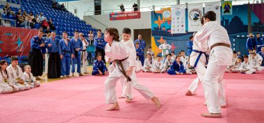 Zrenjanin, Voyvodina, Sırbistan - 27 Nisan 2025: Dövüş sanatları kulübünde gerçek aikido semineri 