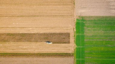 En tepede, tarım hasat makinesinin tarım arazilerinde gelişmemiş mısırları biçmesi ve hasat etmesi, düşük verimliliğe sahip mısır tarlaları kuraklığın sonucudur..