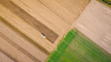 En tepede, tarım hasat makinesinin tarım arazilerinde gelişmemiş mısırları biçmesi ve hasat etmesi, düşük verimliliğe sahip mısır tarlaları kuraklığın sonucudur..