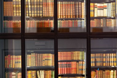 Çalışma odasındaki ya da kütüphanedeki dolaptaki kitaplar.