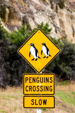 Oamaru, kayan kireçtaşı tepeleri ile denize doğru uzanan düz arazi arasında inşa edilmiştir. Küçük mavi penguenlerden oluşan bir koloni, tarihi bölgeden çok uzak olmayan limandaki kullanılmayan bir taş ocağında yaşıyor..