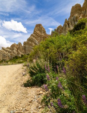 Omarama 'daki Clay Kayalıkları milyonlarca yıl boyunca doğal erozyon ve tortuyla oluşmuştur. Waitaki bölgesinde Yeni Zelanda 'nın güney adasında bulundu.