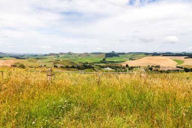 Duntroon Yeni Zelanda yakınlarındaki kırsal manzara. Çok gür ve verimli tarım arazileri ve güzel manzaralar..