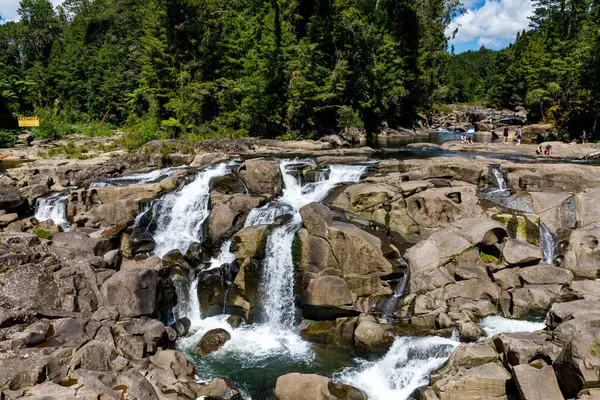 맥라렌 Mclaren Falls 타우랑가 Tauranga 근처의 Mangakarengorengo River에 위치해 있습니다 스톡 이미지
