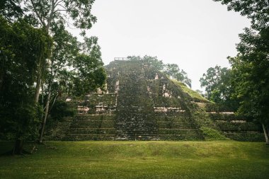 Pyramid of the lost world in Tikal mayan city