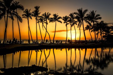 Portakal rengi gün batımı ve Hawaii sahillerinde palmiye ağaçlarının gölgesi.