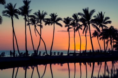 Waikoloa sahilinde palmiye ağacı yansıması ve gün batımı