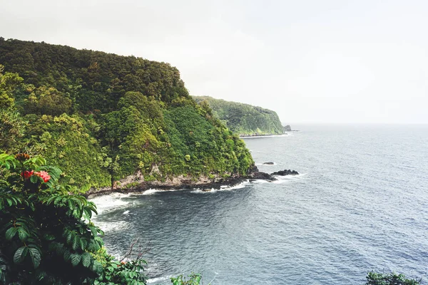マウイ島の海岸のジャングルの植生に覆われた崖 — ストック写真