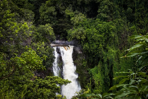 Makahiku Fällt Inmitten Tropischer Vegetation — Stockfoto