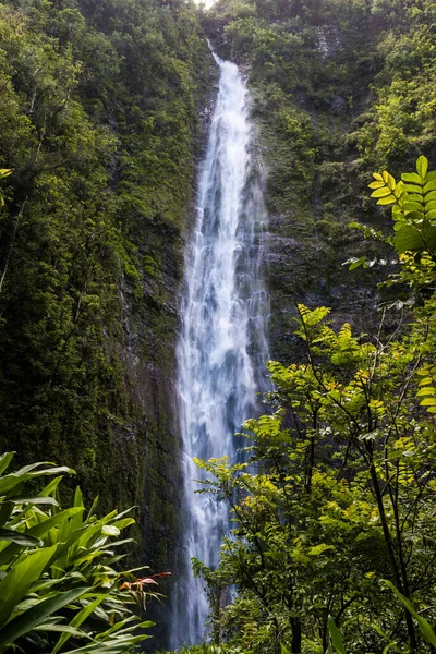 Haleakala Nemzeti Park Pipiwai Ösvény Végén — Stock Fotó