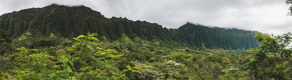 Acantilados Hawaianos Cubiertos Vegetación Selvática Fotos de stock