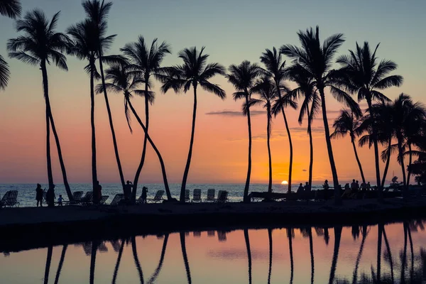 Пальмовое Отражение Закат Пляже Вайколоа Лицензионные Стоковые Фото