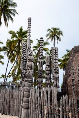 Pu 'uhonua o honaunau parkında tahta oyulmuş tikis heykelleri.