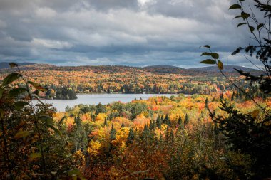 Quebec 'in kuzeyindeki Kanada ormanının üzerinde güneş ışığı var.