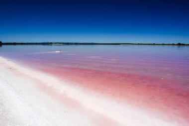 Fransa, Arles yakınlarında tuzlu sahil ve pembe su