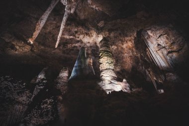 Devler Salonu 'nda en büyük aygırlar var.